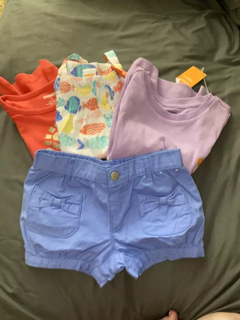 New Gymboree shirt shorts Top Outfit new size 4 4t