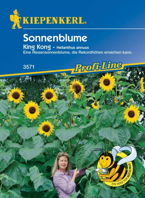 Sonnenblume * King Kong * MHD 01/27 Riesensonnenblume Kiepenkerl Samen 3571