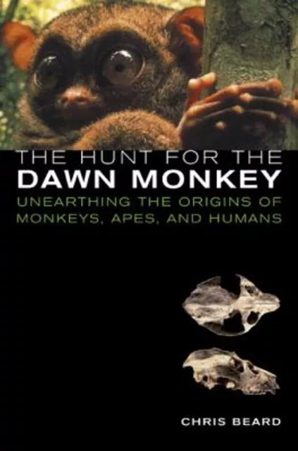The Hunt for the Dawn Monkey : Unearthing the Origins of Monkeys,