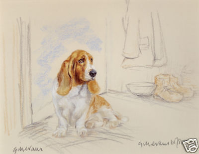 Basset Hound Dog Fine Art Limited Edition Print