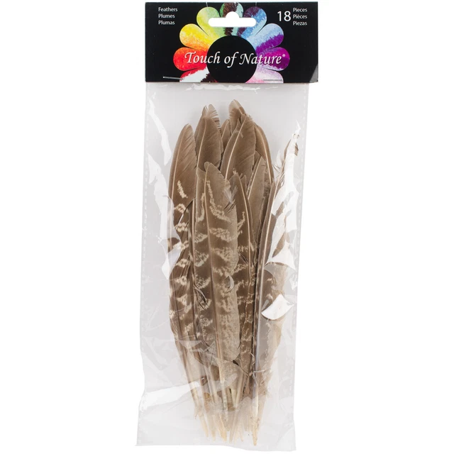 Paquete de 6 plumas de pluma de faisán 18/paquete-natural -38192