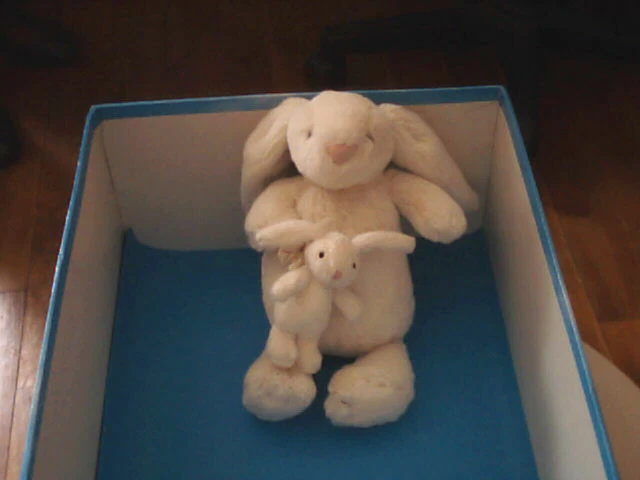 Doudou 5145 / Peluche Musicale Lapin "Jelly Cat" Ecru Avec Bebe