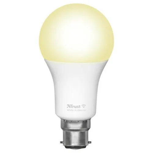 Briloner - Luce Notturna LED, luce bianca calda, luce da presa, lampada  notturna, luce con spina, luce