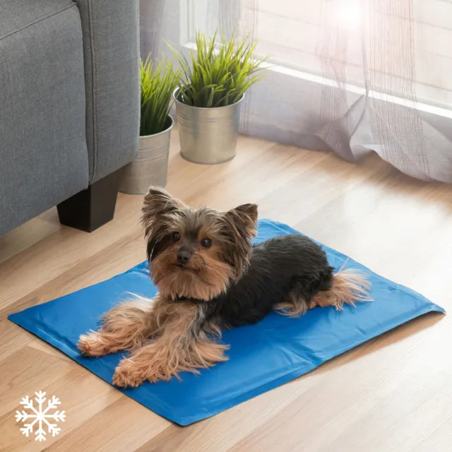 Tapis de Refroidissement pour Animaux de Compagnie Colet InnovaGoods 40 x 50