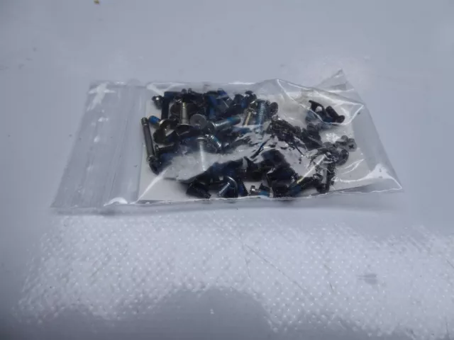 Apple MacBook Pro 13 A1278 Schraubensatz Screws Set Mid 2010 #3461