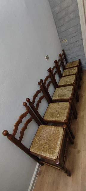 Piume indiane native americane set di piume decorative rustiche disegnate a mano | Vettore Premium
