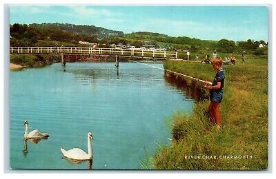 Postcard Charmouth Dorset River Char