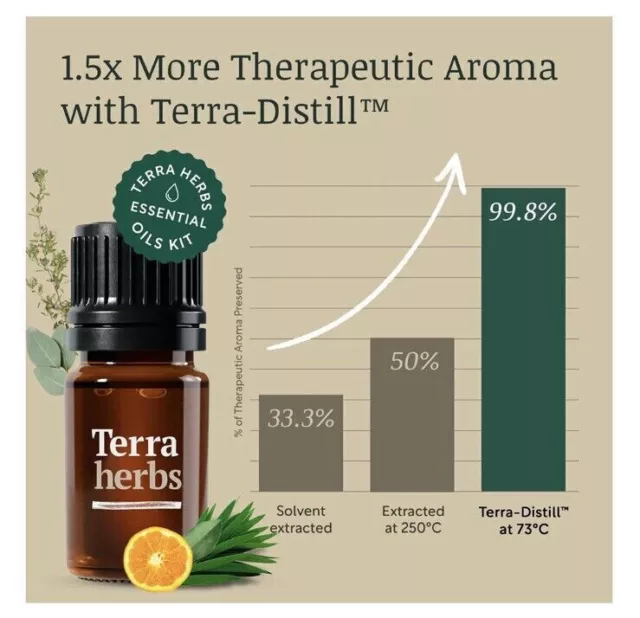 Terra Herbs Essential Oils for Diffusers Home 5 PCS Pure | Natural Aromatherapy 3