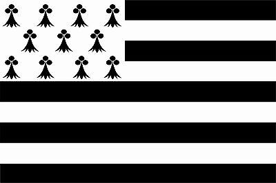 Autocollant Braunlage drapeau drapeau 30 x 20 CM des autocollants autocollant 