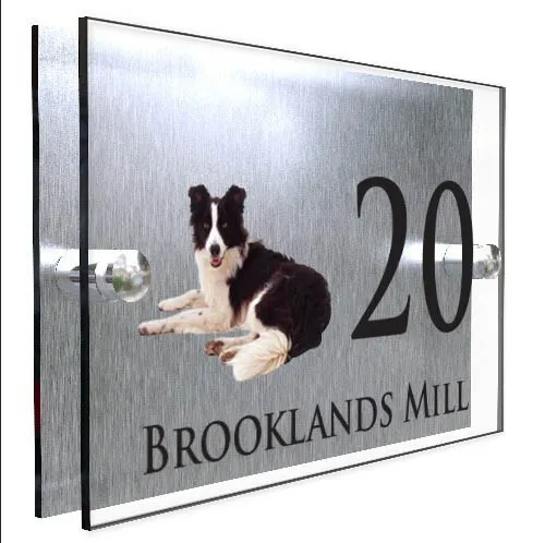 Personalised Pet House plaque Border Collie Dog Lying Number Acrylic Door Sign