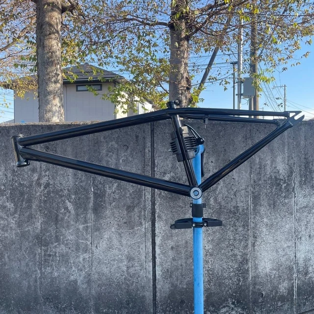 LEAF CYCLES SEX Pistal Fixed Gear MTB Bike Frame USED $669.26