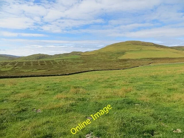 Photo 6x4 Field, Tinnis Old Tinnis Improved grazing in an enclosure. c2013