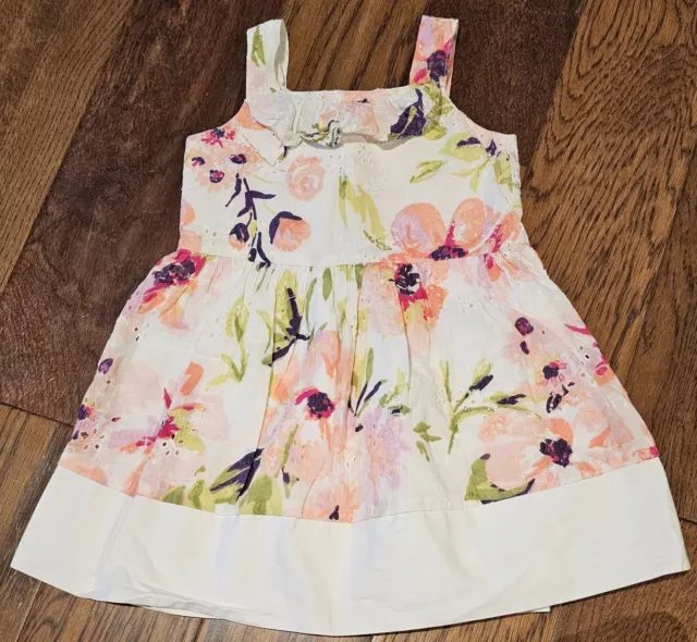 Dressed Up by Gymboree Toddler Girl Size 2T Floral Lined Dress EUC