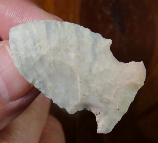 Colorful Archaic side-notched point, J. Davis coll. Missouri Bootheel 1.7/8 in.