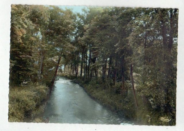 NEUVY-sur-LOIRE (58) BORDS de la VRILLE en 1968