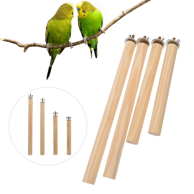 4PCS budgie perches Papagei Übung Barsch Vogel Dusche Barsch Vogel Käf