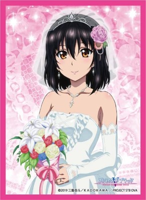NEW CHARACTER SLEEVE Collection Strike the Blood Himeragi Yukina 