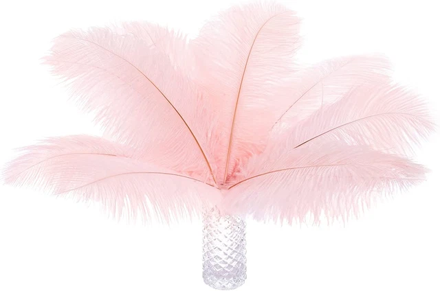 12Pcs Natural Ostrich Feathers 12-14Inch (30-35Cm) for Wedding Party Centerpiece