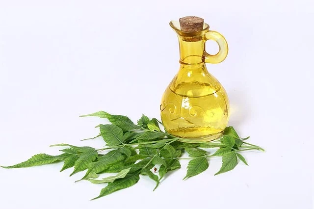 Olio di neem biologico e naturale per capelli e pelle olio per capelli di neem - (100 ml)