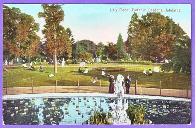 Australia Lily Pond Botanic Gardens Adelaide Postcard