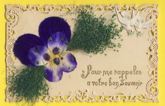 cpa Découpis Ajoutis Die Cuts Anciens PENSÉE FLEURS TISSUS Canivet Dentelle