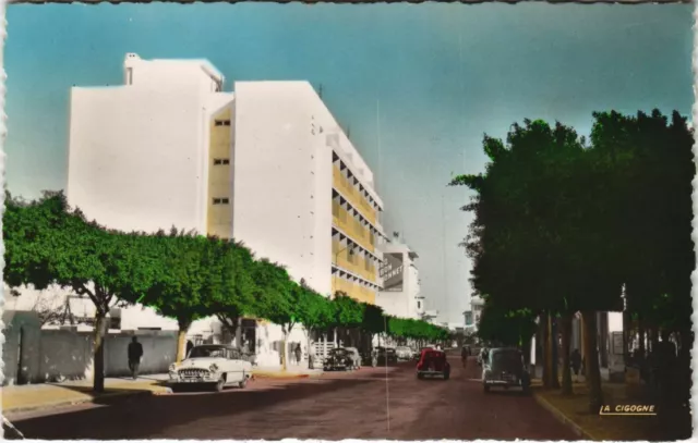 CPA AK MAROC MEKNES Avenue (10671)