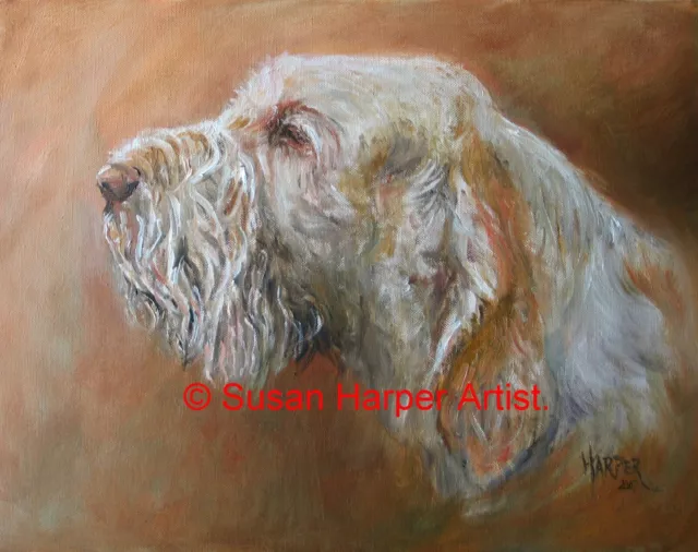 Italian Spinone Signed Dog Print by Susan Harper Unmounted