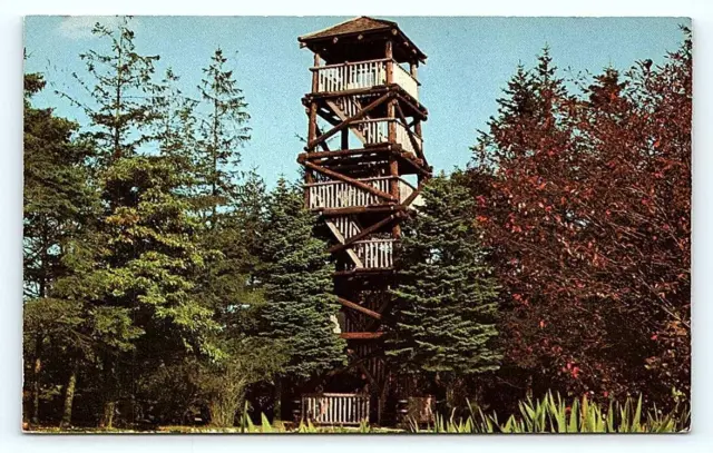 SOUTH KINGSTON, RI Rhode Island ~ THE TOWER ~ c1960s Washington County Postcard