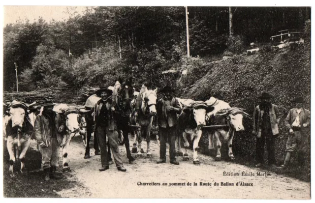 CPA 88 - BALLON D'ALSACE (Vosges) - Charretiers au sommet de la route du...