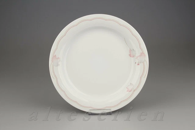 Speiseteller Arzberg Swingline Liberty