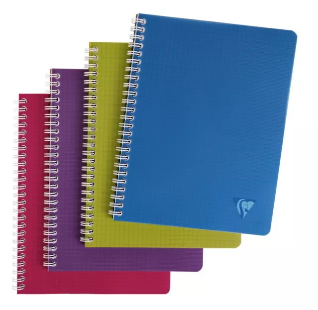 [Ref:329715C] CLAIREFONTAINE Linicolor cahier reliure intégrale 17 x 22 100 2