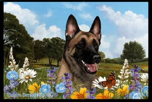 Summer Floor Mat - Belgian Malinois 39251