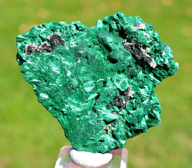 Malachit 136 Gramm - DER STERN Des Kongo Mine, Lubumbashi, Dr Kongo