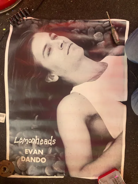 Vintage Poster Original Evan Dando Lemonheads 1990s alternative Rare 34 x 25"