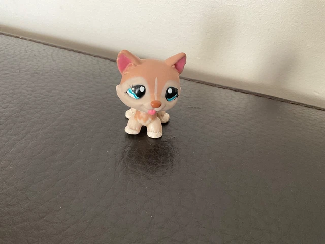 LITTLEST PETSHOP PET Shop Lps Chien Chiot Husky 1013 EUR 7,00 - FR