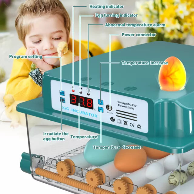 Incubator Egg Hatcher Automatic Turning Chicken 16/36 Eggs Brooding Machine Kit