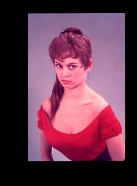 Brigitte Bardot Busty 1950s Glamour Pin Up Vintage Photo Agency Transparency £2982 Picclick Uk 