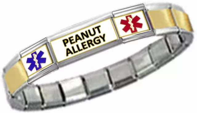 PEANUT ALLERGY MEDICAL ID 9mm Italian Charm GOLD TONE CTR MATTE Starter Bracelet