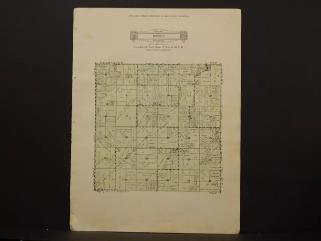 Minnesota Swift County Map Hayes Township 1931 Y6#62