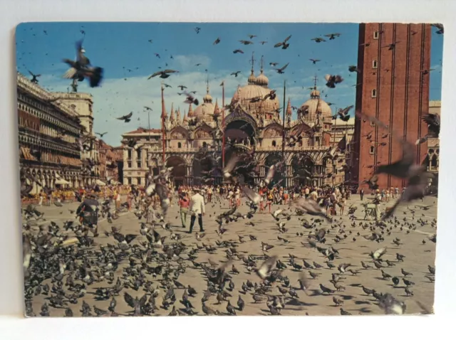 VENEZIA Venice Pigeons St Marks Square Italy Vintage Postcard Unposted