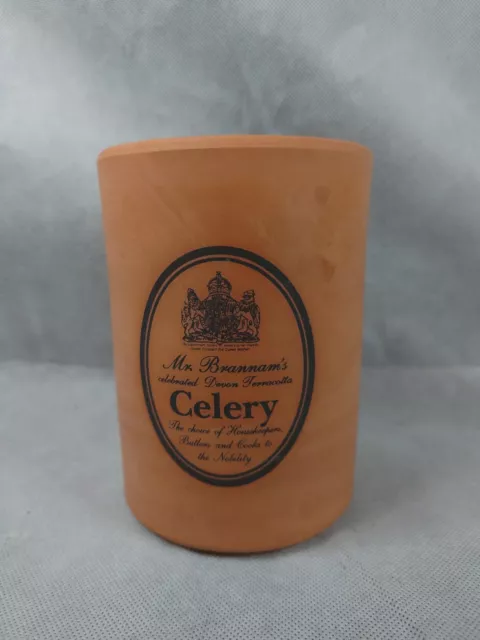 Mr Brannams Celebrated Devon Terracotta Celery Jar Pot Container