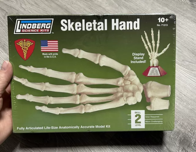 Lindberg Human Skeletal Hand Anatomically Accurate Science Kit Model NEW NIB