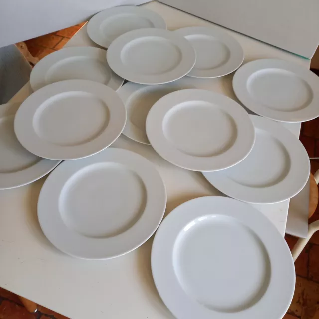 Lot De 16 Grande Assiettes Plates Vintage Porcelaine De Limoges