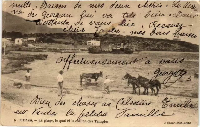 CPA AK Geiser 5 Tipaza La plage le quai et la hill ALGERIA (756002)