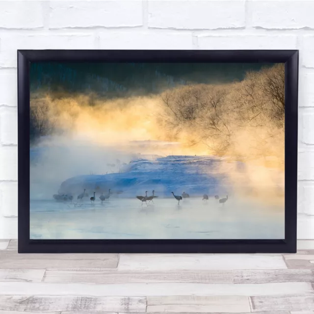 Cranes Hokkaido Japan Sunrise Birds Wildlife Wild Cold Winter Wall Art Print