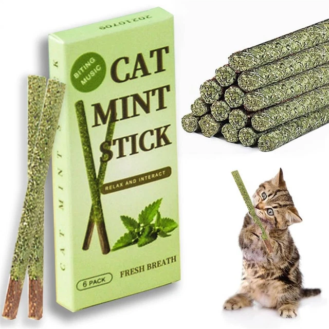 6 palos/caja producto para masticar gatos todos los palos naturales hierba gatera palos molares madera Tengo