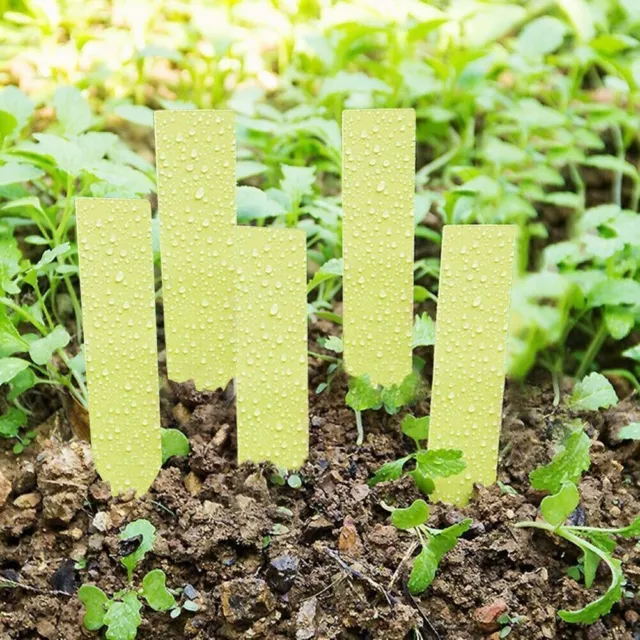 100 Pcs Plastic Plant Seed Labels Pot Marker Nursery Garden Stake Tags Yellow