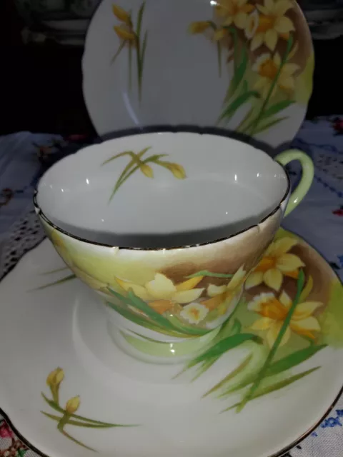 Vintage"Daffodils " By "Shelley " Tea Trio England 3