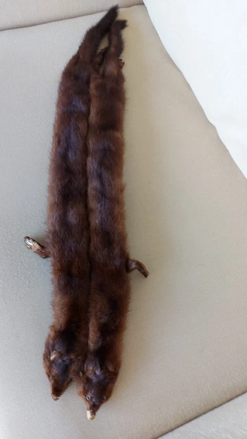 Nerzkragen, echt, 2 ganze Felle = 1 Preis,sehr schön siehe Bilder, super Preis