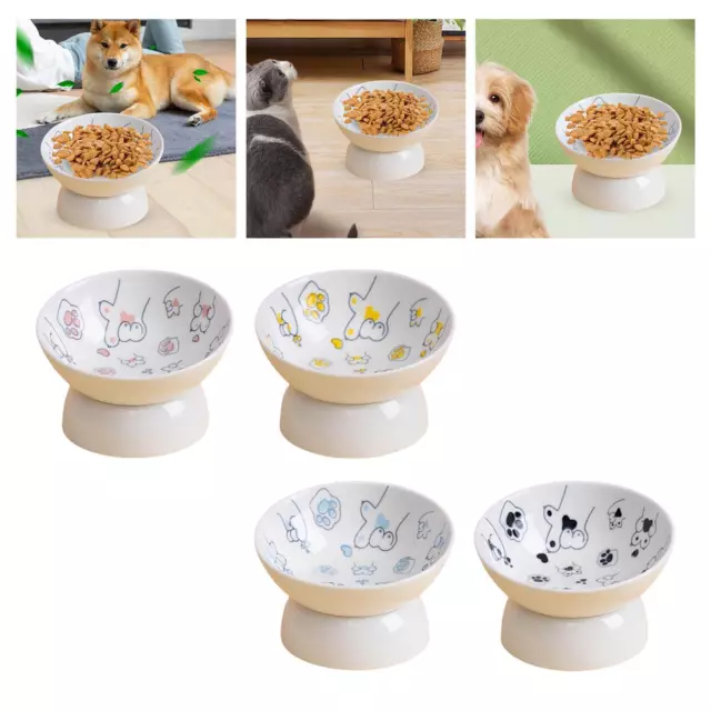 Ciotola per cibo per gatti, mangiatoia rialzata in ceramica per l'alimentazione